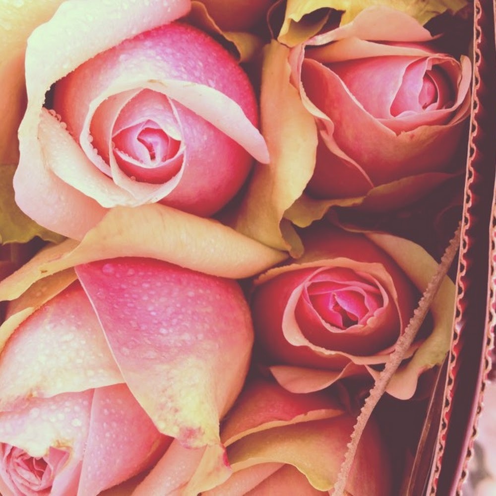 Meet your Posher, Montserrat